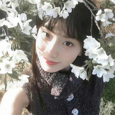 小蜜蜂 勇气的旋律